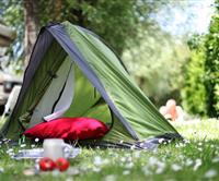 Emplacement toile de tente au camping les Genêts à Sarzeau 