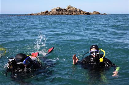 Plongé sous marine en Bretagne Sud 