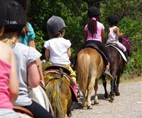 Une balade à cheval pour visiter la Presqu'île de Rhuys